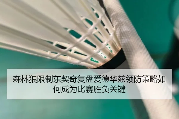 森林狼限制东契奇复盘爱德华兹领防策略如何成为比赛胜负关键（ANBO Sports）